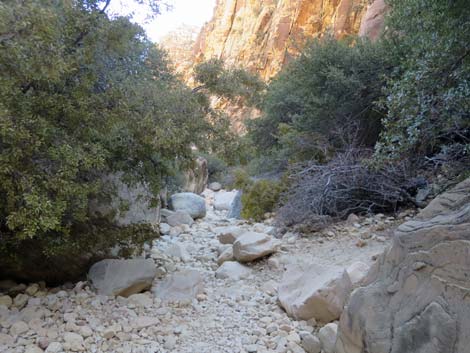 Ice Box Canyon