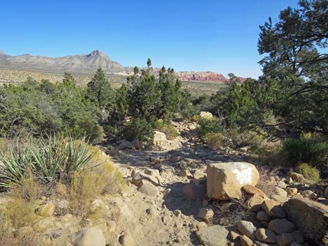 Ice Box Canyon