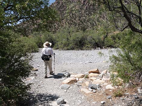 Ice Box Canyon