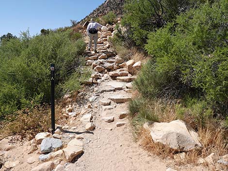 Ice Box Canyon