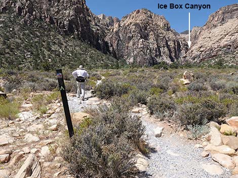 Ice Box Canyon