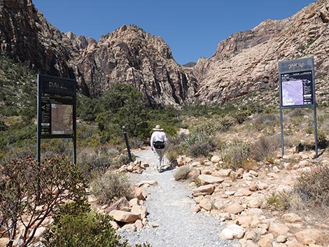 Ice Box Canyon