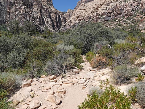 Ice Box Canyon