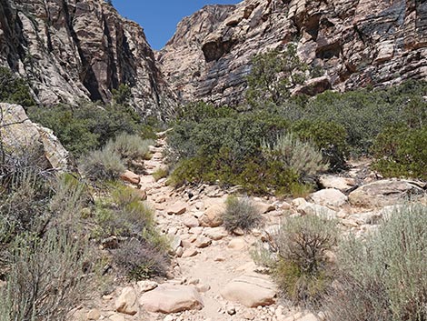 Ice Box Canyon