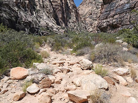 Ice Box Canyon