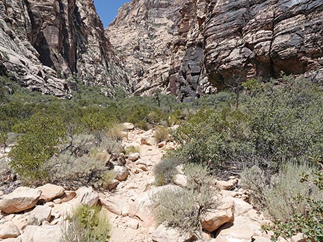 Ice Box Canyon