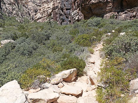 Ice Box Canyon