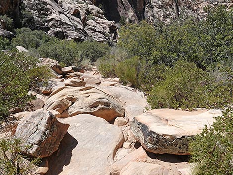 Ice Box Canyon