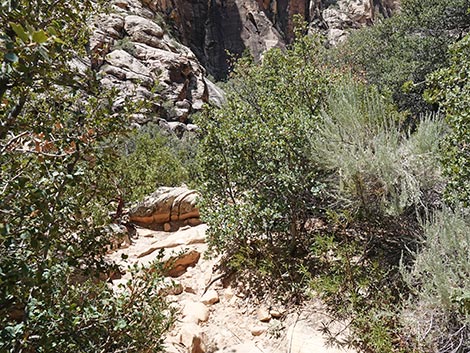 Ice Box Canyon