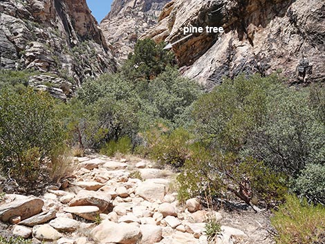 Ice Box Canyon