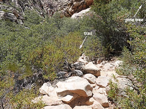Ice Box Canyon