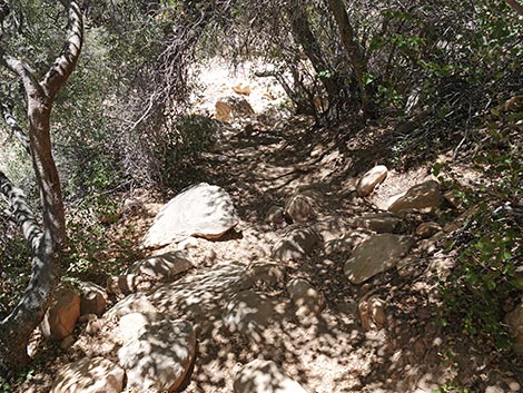 Ice Box Canyon