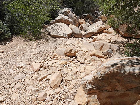 Ice Box Canyon