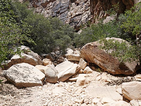 Ice Box Canyon