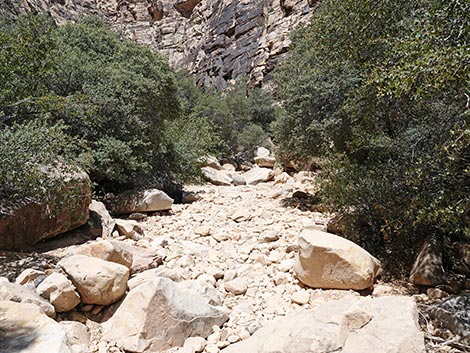 Ice Box Canyon