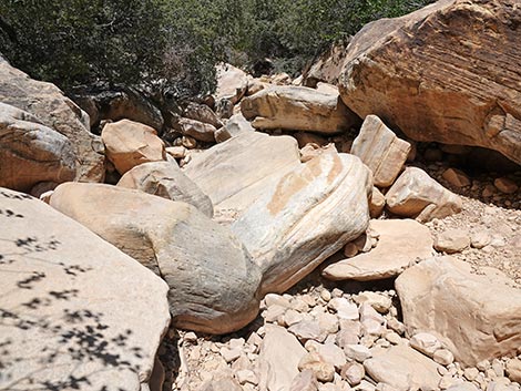 Ice Box Canyon