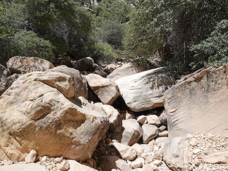 Ice Box Canyon