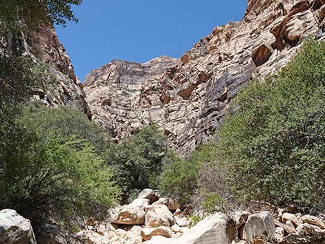 Ice Box Canyon