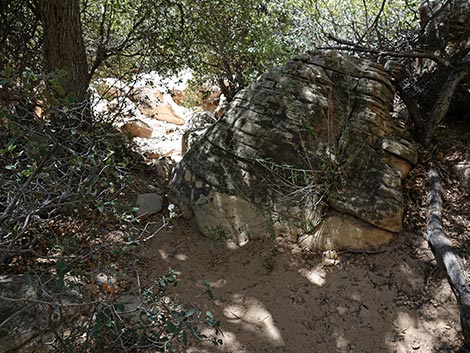 Ice Box Canyon