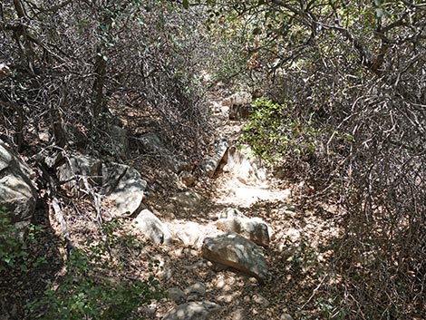 Ice Box Canyon