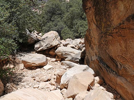 Ice Box Canyon