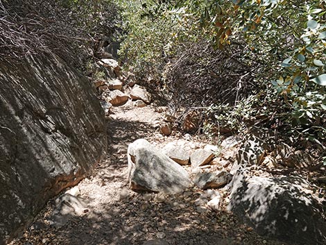 Ice Box Canyon