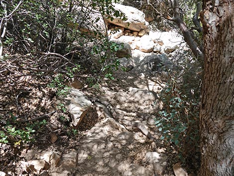 Ice Box Canyon