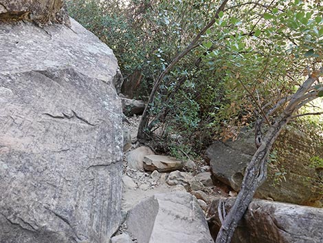 Ice Box Canyon
