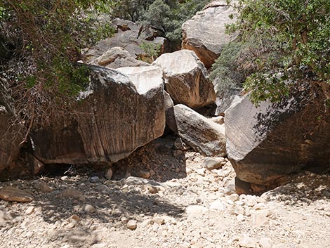 Ice Box Canyon