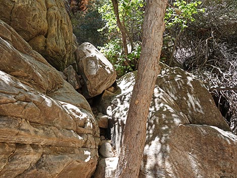 Ice Box Canyon