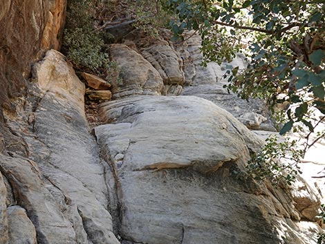 Ice Box Canyon