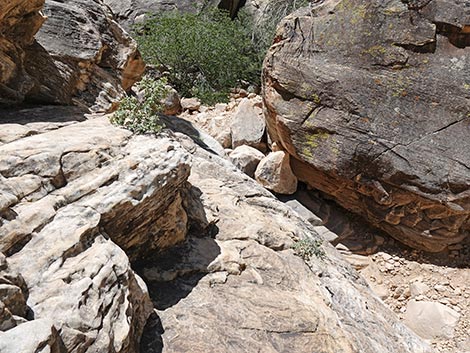 Ice Box Canyon