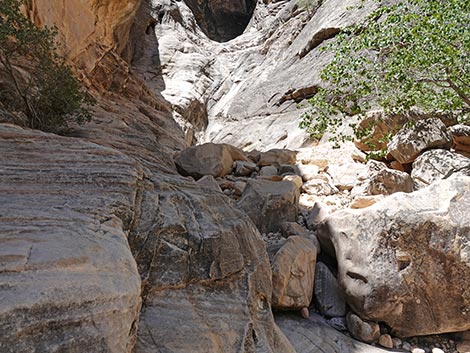 Ice Box Canyon