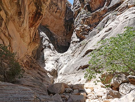 Ice Box Canyon