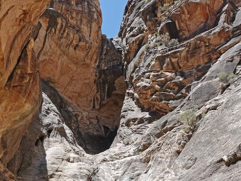 Ice Box Canyon