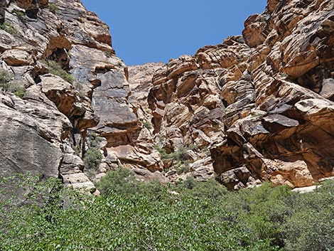 Ice Box Canyon