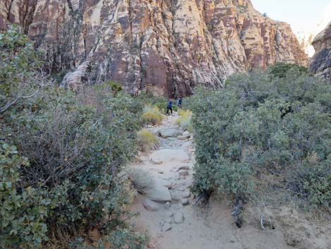 Ice Box Canyon