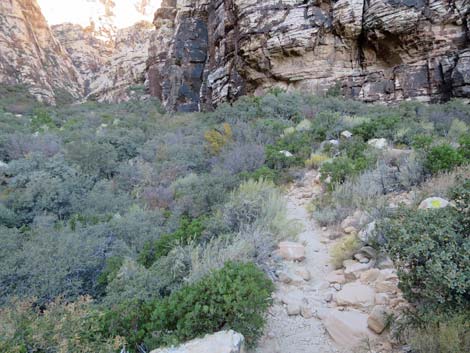 Ice Box Canyon