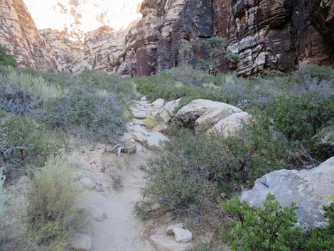 Ice Box Canyon