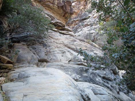 Ice Box Canyon