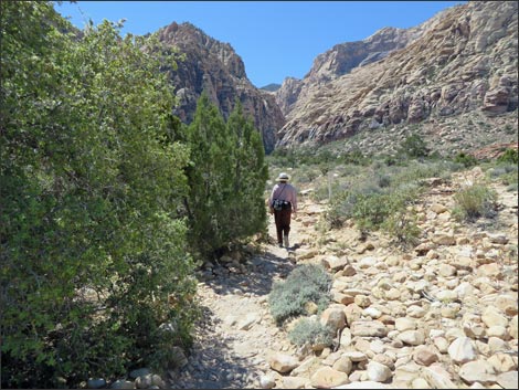 Icebox Canyon