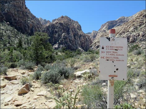 Icebox Canyon