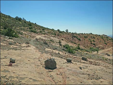 Keystone Thrust Trail