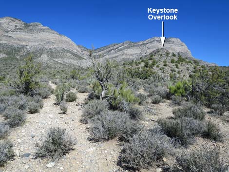 Keystone Basin Overlook