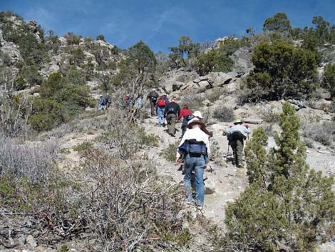 La Madre Miner's Cabin