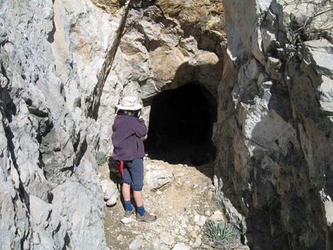 La Madre Miner's Cabin