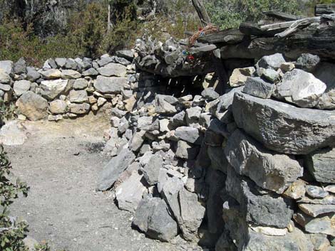 La Madre Miner's Cabin