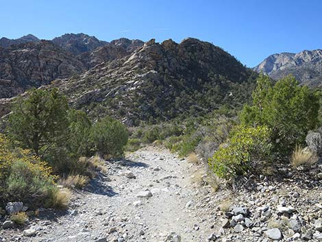 White Rock Loop Trail