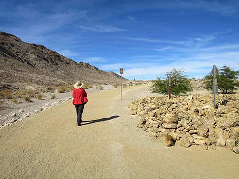 Lone Mountain