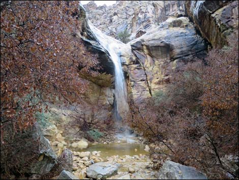 Lower Lost Creek Falls